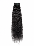 Burmese Curly