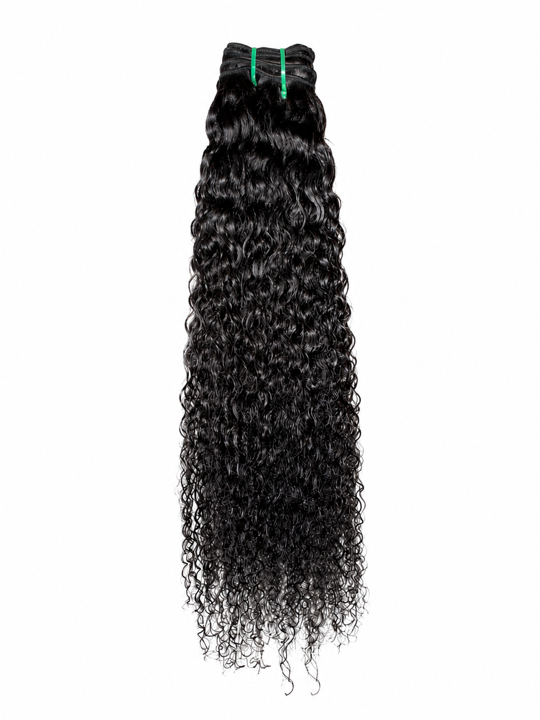 Burmese Curly